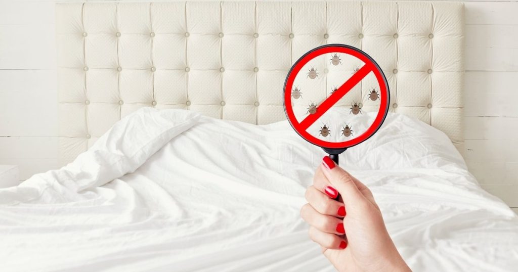 bed bug exterminator Scarborough