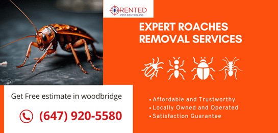 cockroach control and removal services woodbridge