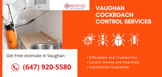 best cockroach control services vaughan ontario 