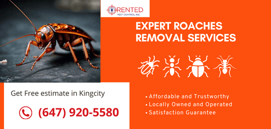 Cockroach control and exterminators King City