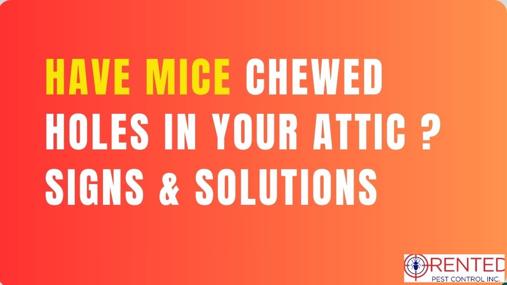 Have Mice Chewed Holes in Your Attic Ducts or Damaged the Wrapping